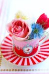 pip-love-birds-cay-fincani-kirmizi-200ml-1