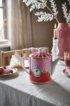 pip-love-birds-demlik-kirmizi-2