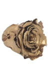 rose-amor-gold