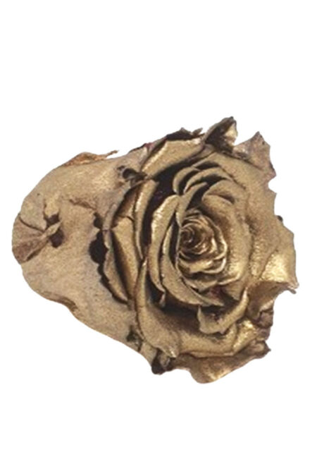 Rose Amor Solmayan Gül Ekvator Gülü Gold Şoklanmış Çiçek Altın Sarısı